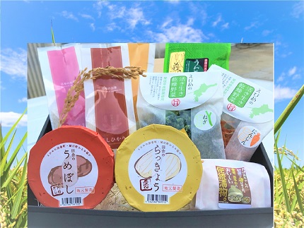 西予市まるごとセットA