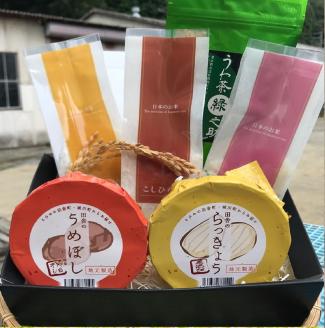 西予市まるごとセットB