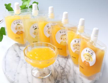 シトラス飲むゼリー12個セット