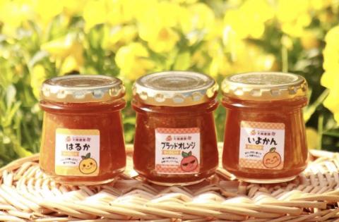 天晴マーマレード３種セット（伊予柑・はるか・ブラッドオレンジ）