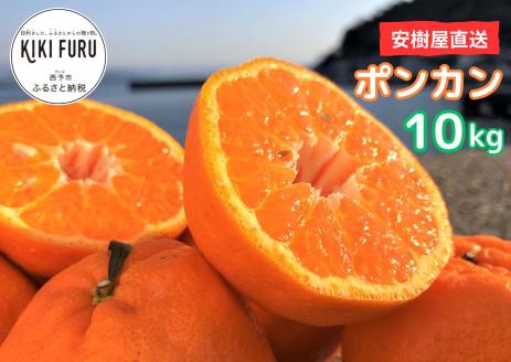 安樹屋　愛媛県明浜産　ポンカン　10kg（家庭用）