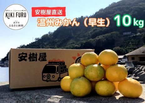 安樹屋　愛媛県明浜産　温州みかん（早生） 10kg（家庭用）