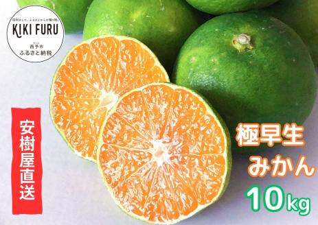 安樹屋　愛媛県明浜産　極早生みかん　10kg（家庭用）