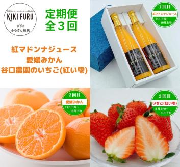 【定期便全3回】紅マドンナジュース・愛媛みかん・谷口農園のいちご（紅い雫）