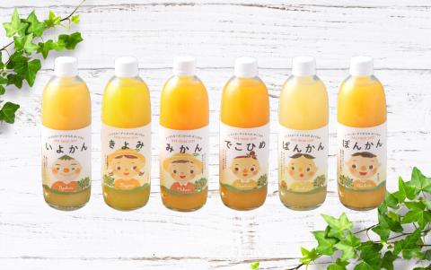 マルワフルーツ柑橘アソート6本セット手提げ箱