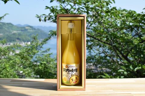 愛媛県明浜産 天晴みかんジュース（河内晩柑）　１本