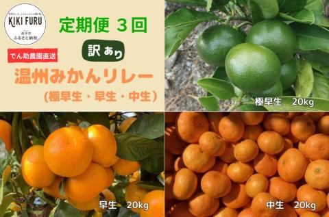 でん助農園の温州みかんリレー　訳あり　３回定期便（極早生・早生・中生）