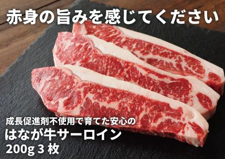 熟成肉はなが牛サーロインステーキ