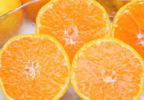 愛媛県西予市産　温州みかん　ご家庭用　7.5kg