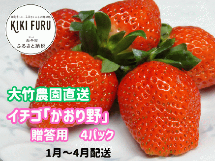大竹農園直送　イチゴ「かおり野」 贈答用　４パック　【１月～４月配送】