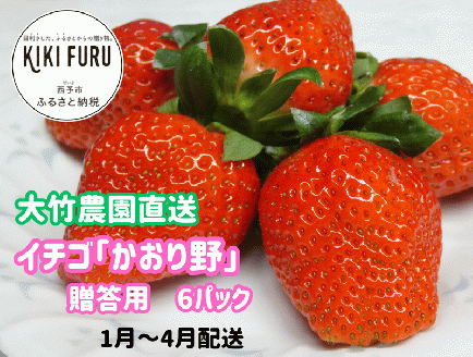 大竹農園直送　イチゴ「かおり野」 贈答用　６パック　【１月～４月配送】