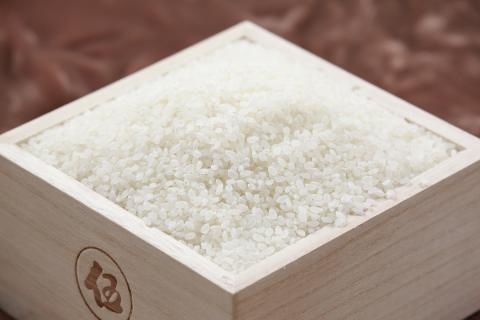 令和５年産　西予市宇和町産コシヒカリ・にこまる食べ比べセット（各５kg）