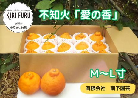 不知火「愛の香」　M～L寸（数量限定）