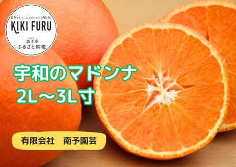 宇和のマドンナ　2L～3L寸（数量限定）