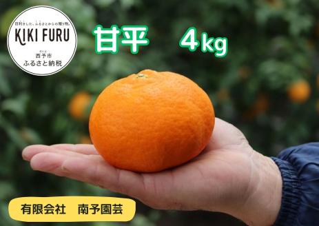 甘平　４kg（数量限定）