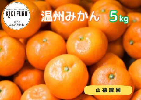 山徳農園「温州みかん」5kg（数量限定）