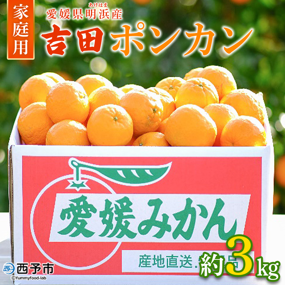 ＜吉田ポンカン 家庭用 約3kg＞ 果物 くだもの フルーツ みかん ミカン 柑橘 吉田ぽんかん よしだぽんかん ヨシダポンカン ぽんかん 訳あり ご自宅用 特産品 株式会社笑丸 愛媛県 西予市 約３kg（寄附額7,000円）