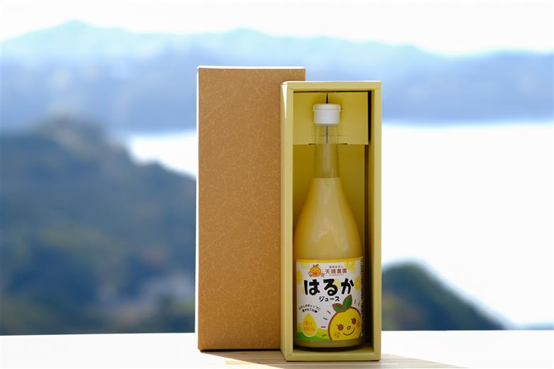 愛媛県明浜産 天晴みかんジュース（はるか） 1本