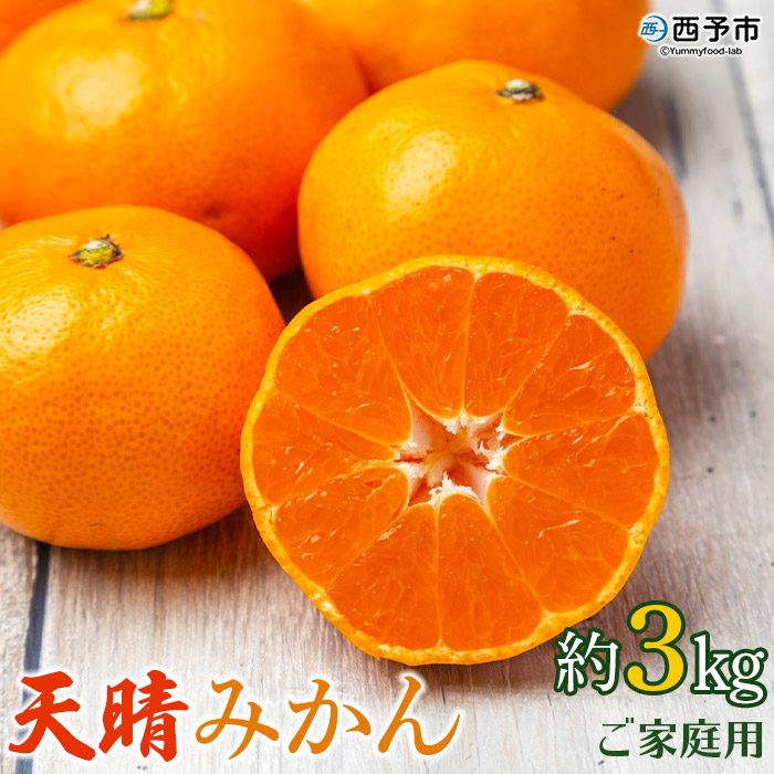 ＜愛媛県明浜産 天晴みかん（温州みかん）約3kg＞ 家庭用 訳あり ワケアリ 自宅用 果物 くだもの フルーツ ミカン 柑橘 特産品 産地直送 笑丸 愛媛県 西予市 約３kg（寄附額7,000円）
