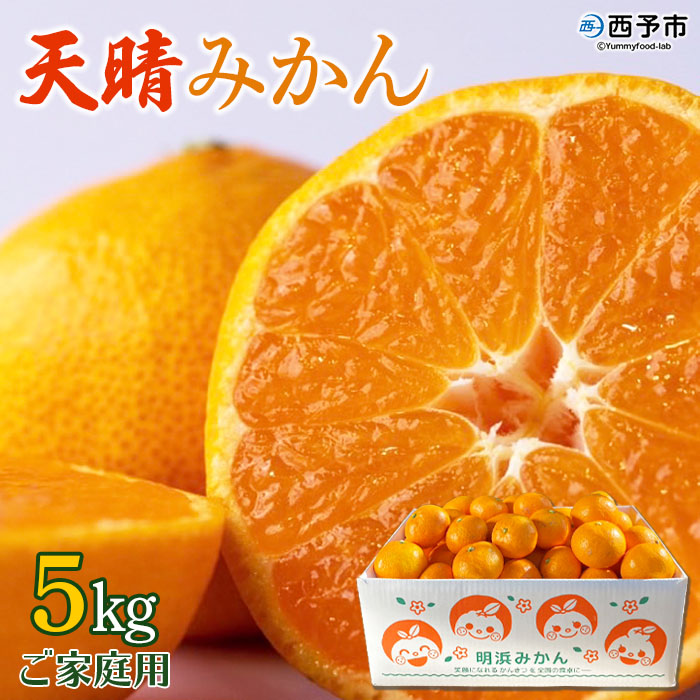 ＜愛媛県明浜産 天晴みかん（温州みかん）約5kg＞ 家庭用 訳あり ワケアリ 自宅用 果物 くだもの フルーツ ミカン 柑橘 特産品 産地直送 笑丸 愛媛県 西予市 約５kg（寄附額10,000円）