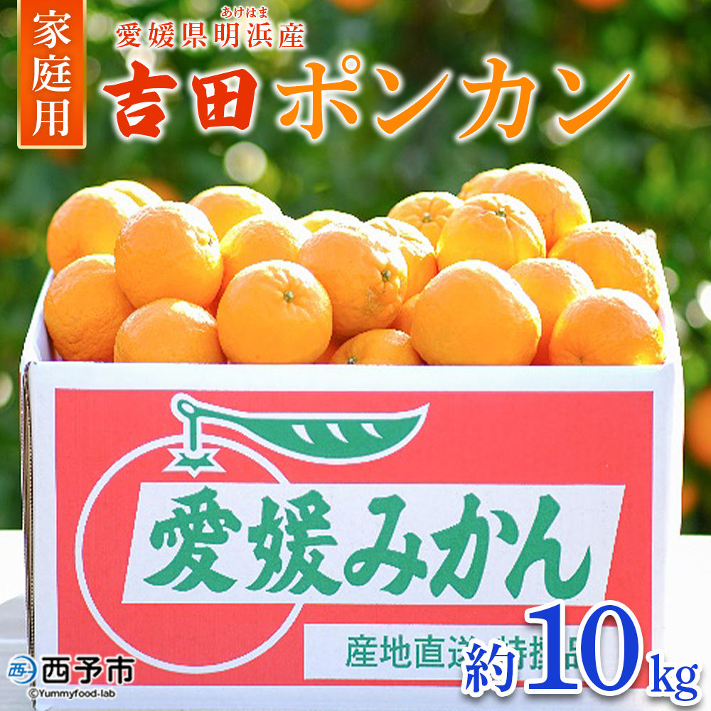 ＜吉田ポンカン 家庭用 約10kg＞ 果物 くだもの フルーツ みかん ミカン 柑橘 吉田ぽんかん よしだぽんかん ヨシダポンカン ぽんかん 訳あり ご自宅用 特産品 株式会社笑丸 愛媛県 西予市 約10kg（寄附額19,000円）