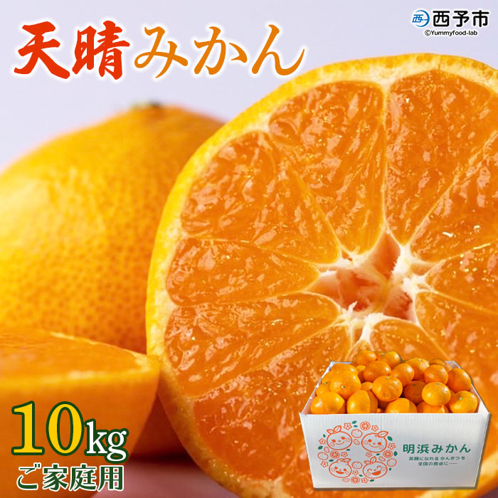 ＜愛媛県明浜産 天晴みかん（温州みかん）約10kg＞ 家庭用 訳あり ワケアリ 自宅用 果物 くだもの フルーツ ミカン 柑橘 特産品 産地直送 笑丸 愛媛県 西予市 約10kg（寄附額19,000円）