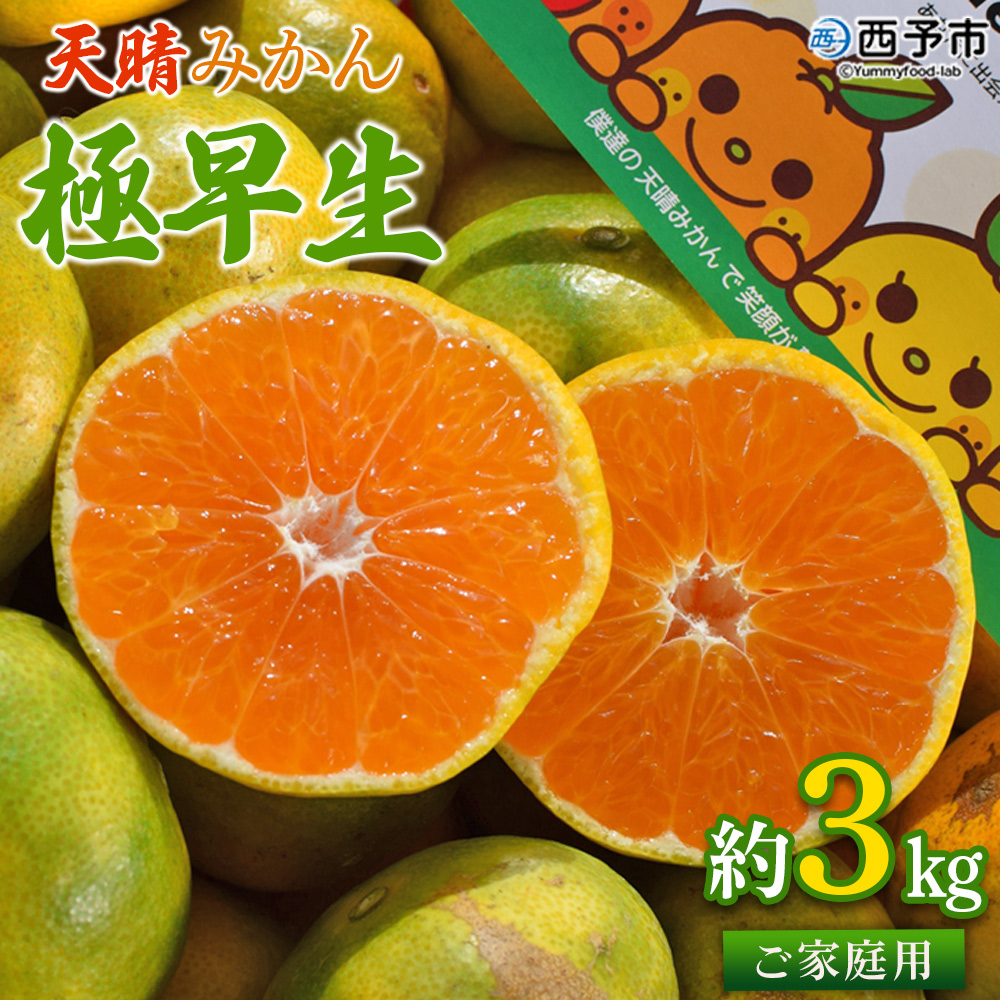 ＜天晴みかん 極早生 ご家庭用 約3kg＞ 柑橘 果物 フルーツ 期間限定 季節限定 特産品 温州みかん 家庭用 自宅用 ジャム サラダ 株式会社笑丸 愛媛県 西予市 約３kg（寄附額7,000円）