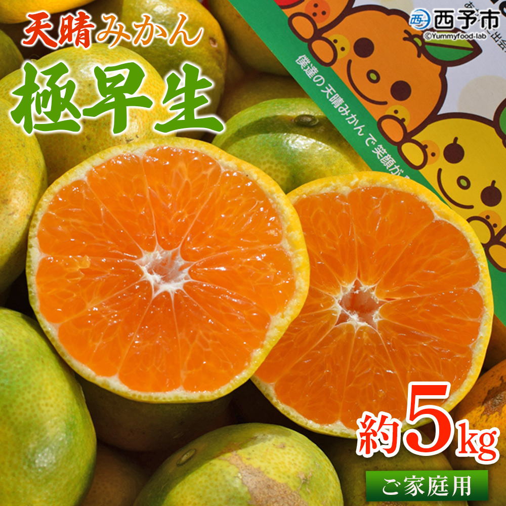 ＜天晴みかん 極早生 ご家庭用 約5kg＞ 柑橘 果物 フルーツ 期間限定 季節限定 特産品 温州みかん 家庭用 自宅用 ジャム サラダ 株式会社笑丸 愛媛県 西予市 約５kg（寄附額10,000円）