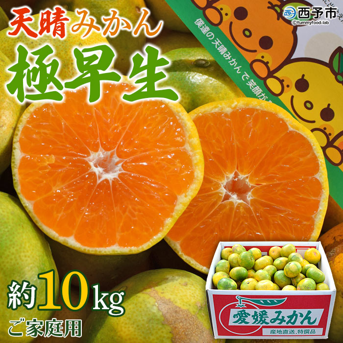 ＜天晴みかん 極早生 ご家庭用 約10kg＞ 柑橘 果物 フルーツ 期間限定 季節限定 特産品 温州みかん 家庭用 自宅用 ジャム サラダ 株式会社笑丸 愛媛県 西予市 約10kg（寄附額19,000円）