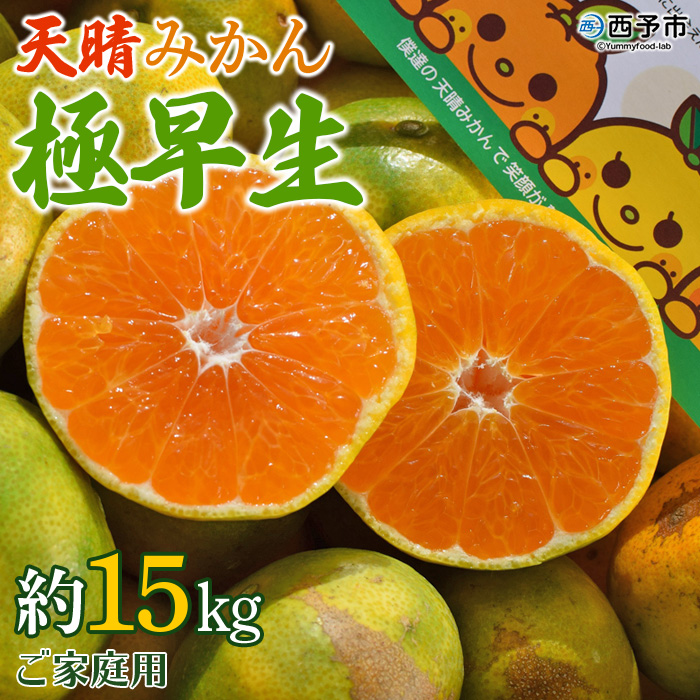 ＜天晴みかん 極早生 ご家庭用 約15kg＞ 柑橘 果物 フルーツ 期間限定 季節限定 特産品 温州みかん 家庭用 自宅用 ジャム サラダ 株式会社笑丸 愛媛県 西予市 約15kg（寄附額27,000円）