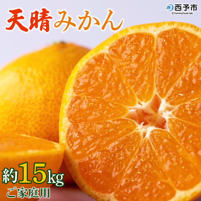 ＜愛媛県明浜産 天晴みかん（温州みかん）約15kg＞ 家庭用 訳あり ワケアリ 自宅用 果物 くだもの フルーツ ミカン 柑橘 特産品 産地直送 笑丸 愛媛県 西予市 約15kg（寄附額27,000円）