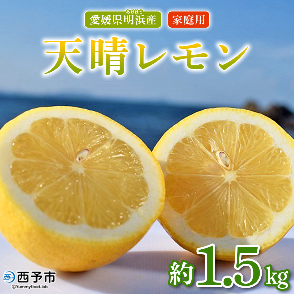 ＜天晴レモン ご家庭用 約1.5kg＞ フルーツ 果物 くだもの レモン れもん 檸檬 柑橘 訳あり わけあり ワケアリ 自宅用 料理 国産 国産レモン 愛媛県産 特産品 株式会社笑丸 愛媛県 西予市