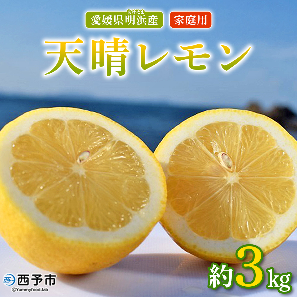 ＜天晴レモン ご家庭用 約3kg＞ フルーツ 果物 くだもの レモン れもん 檸檬 柑橘 訳あり わけあり ワケアリ 自宅用 料理 国産 国産レモン 愛媛県産 特産品 株式会社笑丸 愛媛県 西予市