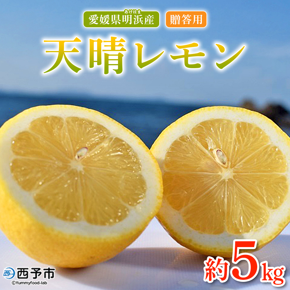 ＜天晴レモン 贈答用 約5kg＞ フルーツ 果物 くだもの レモン れもん 檸檬 柑橘 プレゼント 贈り物 お返し お礼 ギフト アレンジ 料理 国産 国産レモン 愛媛県産 特産品 株式会社笑丸 愛媛県 西予市