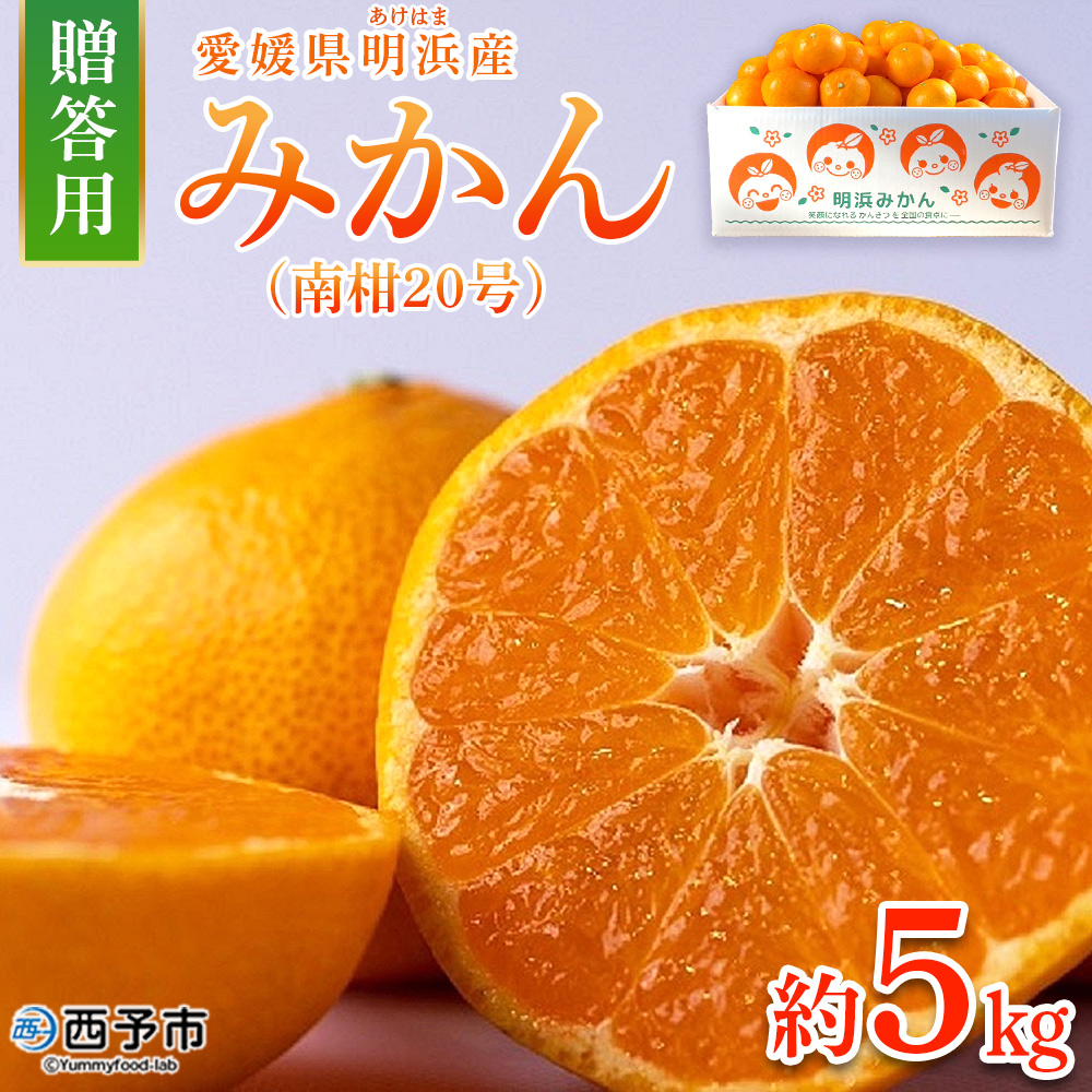 ＜みかん（南柑20号）贈答用 約5kg＞ 果物 くだもの フルーツ ミカン 柑橘 温州みかん うんしゅうみかん 贈答 ギフト プレゼント 特産品 株式会社笑丸 愛媛県 西予市 約５kg（寄付額13,000円）