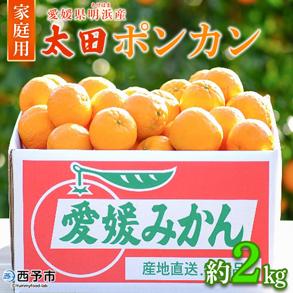 ＜太田ポンカン 家庭用 約2kg＞ 果物 くだもの フルーツ みかん ミカン 柑橘 太田ぽんかん おおたぽんかん オオタポンカン ぽんかん 訳あり ご自宅用 特産品 株式会社笑丸 愛媛県 西予市 約２kg（寄附額5,000円）