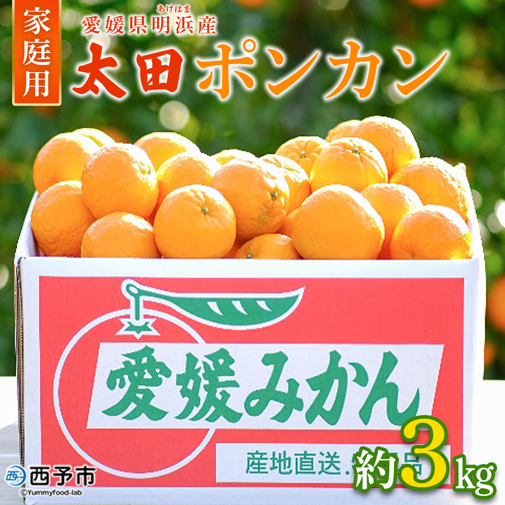 ＜太田ポンカン 家庭用 約3kg＞ 果物 くだもの フルーツ みかん ミカン 柑橘 太田ぽんかん おおたぽんかん オオタポンカン ぽんかん 訳あり ご自宅用 特産品 株式会社笑丸 愛媛県 西予市 約３kg（寄附額7,000円）