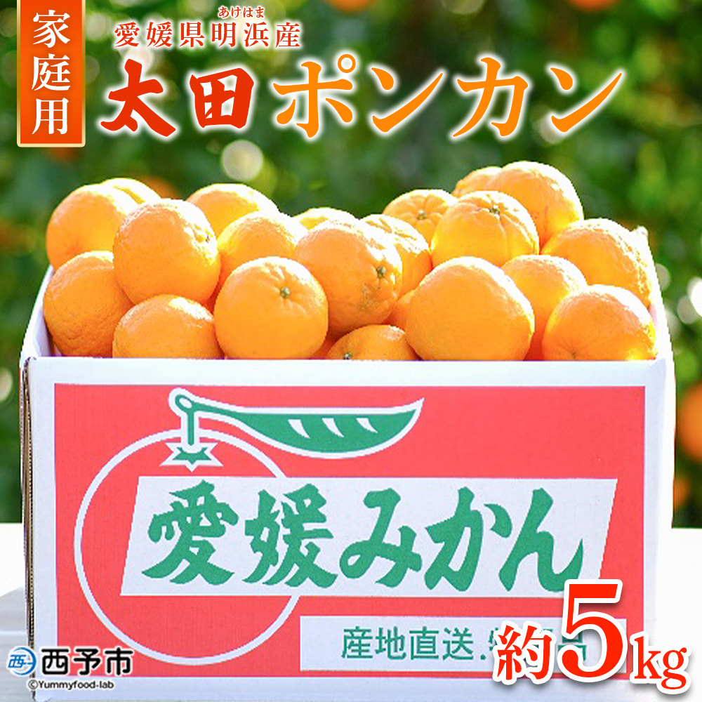 ＜太田ポンカン 家庭用 約5kg＞ 果物 くだもの フルーツ みかん ミカン 柑橘 太田ぽんかん おおたぽんかん オオタポンカン ぽんかん 訳あり ご自宅用 特産品 株式会社笑丸 愛媛県 西予市 約５kg（寄附額10,000円）