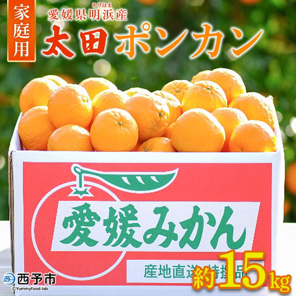 ＜太田ポンカン 家庭用 約15kg＞ 果物 くだもの フルーツ みかん ミカン 柑橘 太田ぽんかん おおたぽんかん オオタポンカン ぽんかん 訳あり ご自宅用 特産品 株式会社笑丸 愛媛県 西予市 約15kg（寄附額27,000円）