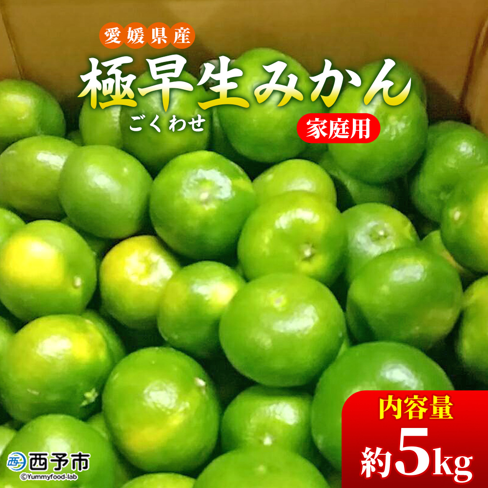 ＜愛媛県産 極早生みかん 約5kg ご家庭用＞ 温州みかん 家庭用 訳あり 果物 ミカン 柑橘 フルーツ 特産品 段畑みかん株式会社 愛媛県 西予市 約５kg（寄附額6,000円）
