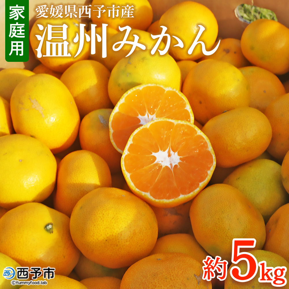 ＜愛媛県西予市産 温州みかん 家庭用 約5kg＞ 果物 くだもの うんしゅうみかん ウンシュウミカン ミカン 蜜柑 柑橘 フルーツ 自宅用 訳あり 旬 特産品 産地直送 段畑みかん株式会社 愛媛県 西予市 約５kg（寄附額7,000円）