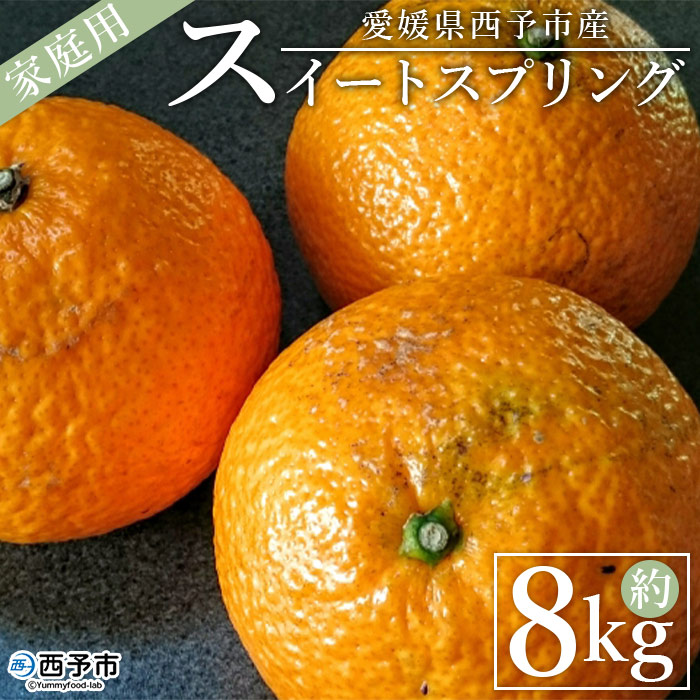 ＜愛媛県西予市産 スイートスプリング 家庭用 約8kg＞ 訳あり ワケアリ すいーとすぷりんぐ 果物 くだもの みかん ミカン 柑橘 甘い フルーツ 果実 特産品 産地直送 段畑みかん株式会社 愛媛県 西予市 約８kg（寄附額15,000円）