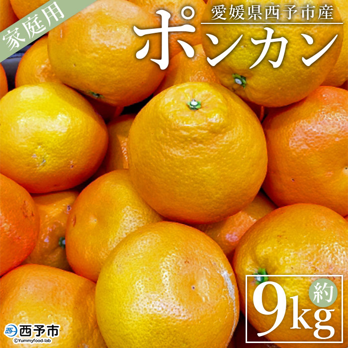 ＜愛媛県西予市産 ポンカン 家庭用 約9kg＞ 果物 くだもの みかん ミカン 柑橘 ぽんかん フルーツ 旬 おいしい 訳あり ワケアリ 自宅用 特産品 産地直送 段畑みかん株式会社 愛媛県 西予市 約９kg（寄附額12,000円）
