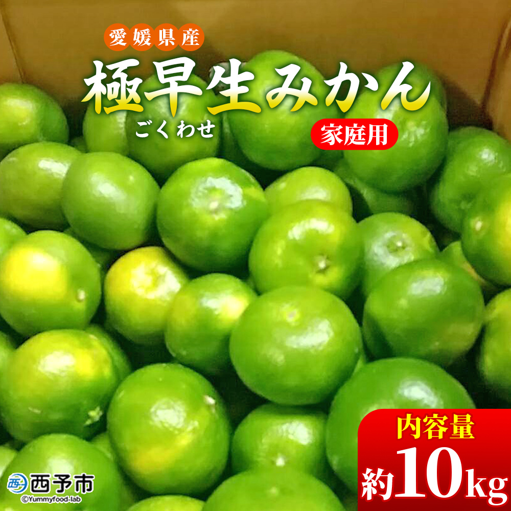 ＜愛媛県産 極早生みかん 約10kg ご家庭用＞ 温州みかん 家庭用 訳あり 果物 ミカン 柑橘 フルーツ 特産品 段畑みかん株式会社 愛媛県 西予市 約10kg（寄附額12,000円）