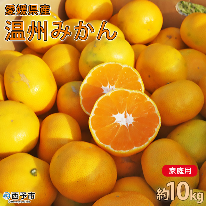 ＜愛媛県西予市産 温州みかん 家庭用 約10kg＞ 果物 くだもの うんしゅうみかん ウンシュウミカン ミカン 蜜柑 柑橘 フルーツ 自宅用 訳あり 旬 特産品 産地直送 段畑みかん株式会社 愛媛県 西予市 約10kg（寄附額13,000円）