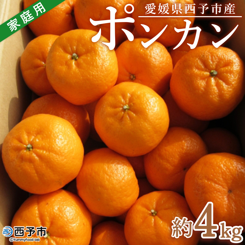 ＜愛媛県西予市産 ポンカン 家庭用 約4kg＞ 果物 くだもの みかん ミカン 柑橘 ぽんかん フルーツ 旬 おいしい 訳あり ワケアリ 自宅用 特産品 産地直送 段畑みかん株式会社 愛媛県 西予市 約４kg（寄附額6,000円）