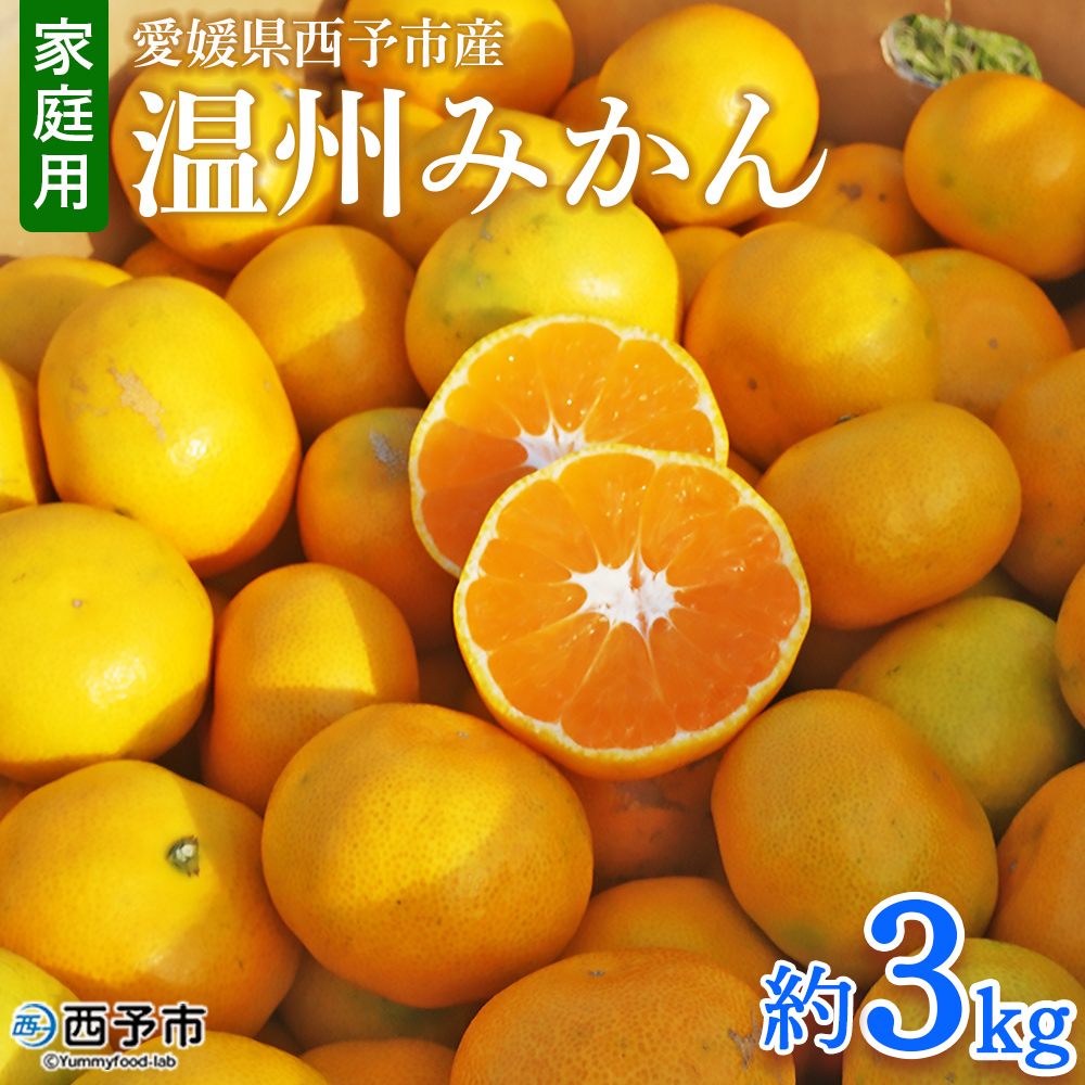 ＜愛媛県西予市産 温州みかん 家庭用 約3kg＞ 果物 くだもの うんしゅうみかん ウンシュウミカン ミカン 蜜柑 柑橘 フルーツ 自宅用 訳あり 旬 特産品 産地直送 段畑みかん株式会社 愛媛県 西予市 約３kg（寄附額5,000円）