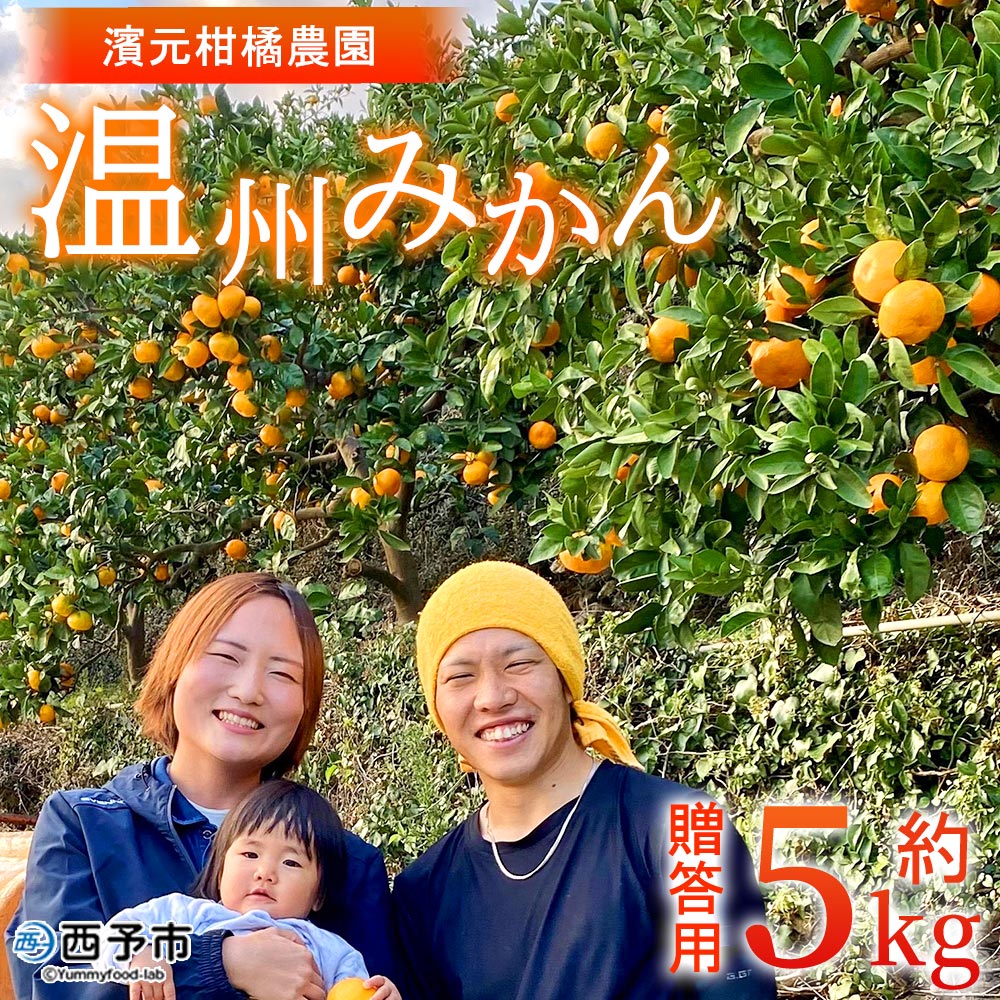 温州みかん 約5kg 贈答用