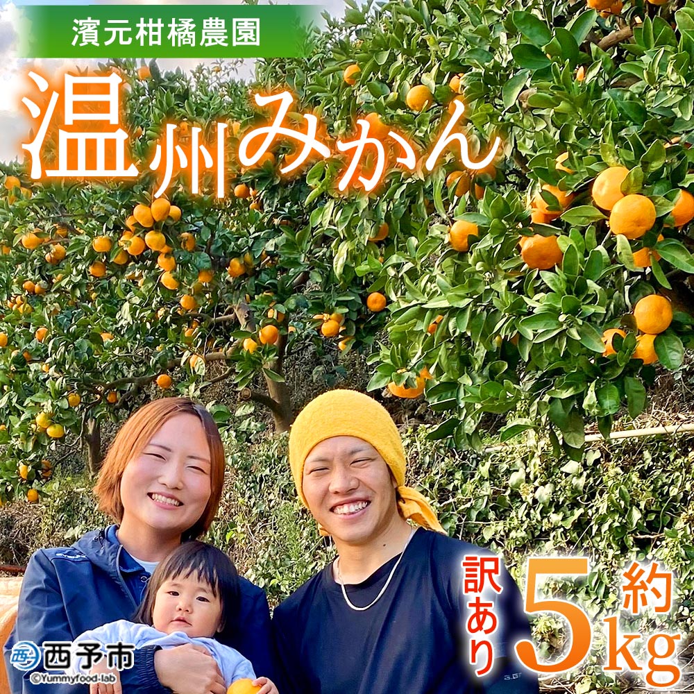 【初出店価格】明浜産　温州みかん　5kg　訳あり　愛媛みかん　農家直送　濱元柑橘農園