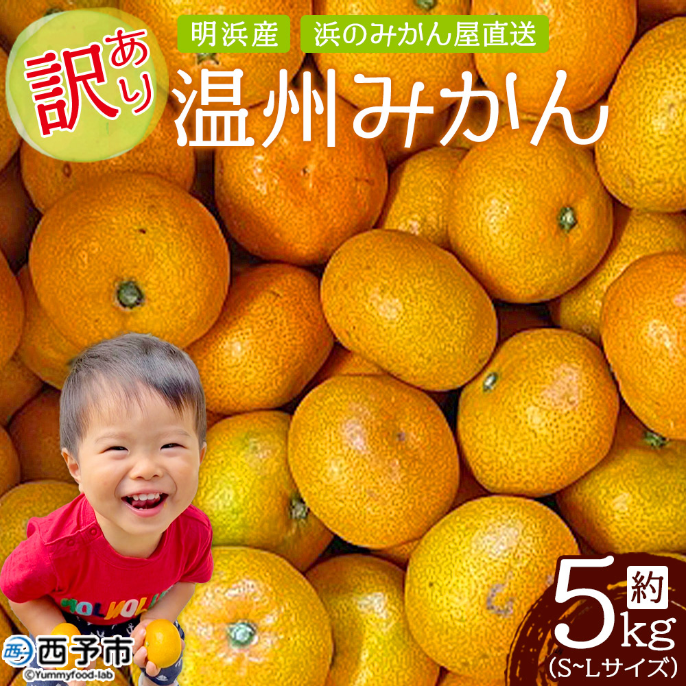 明浜産 浜のみかん屋直送 温州みかん 訳あり（5kg）